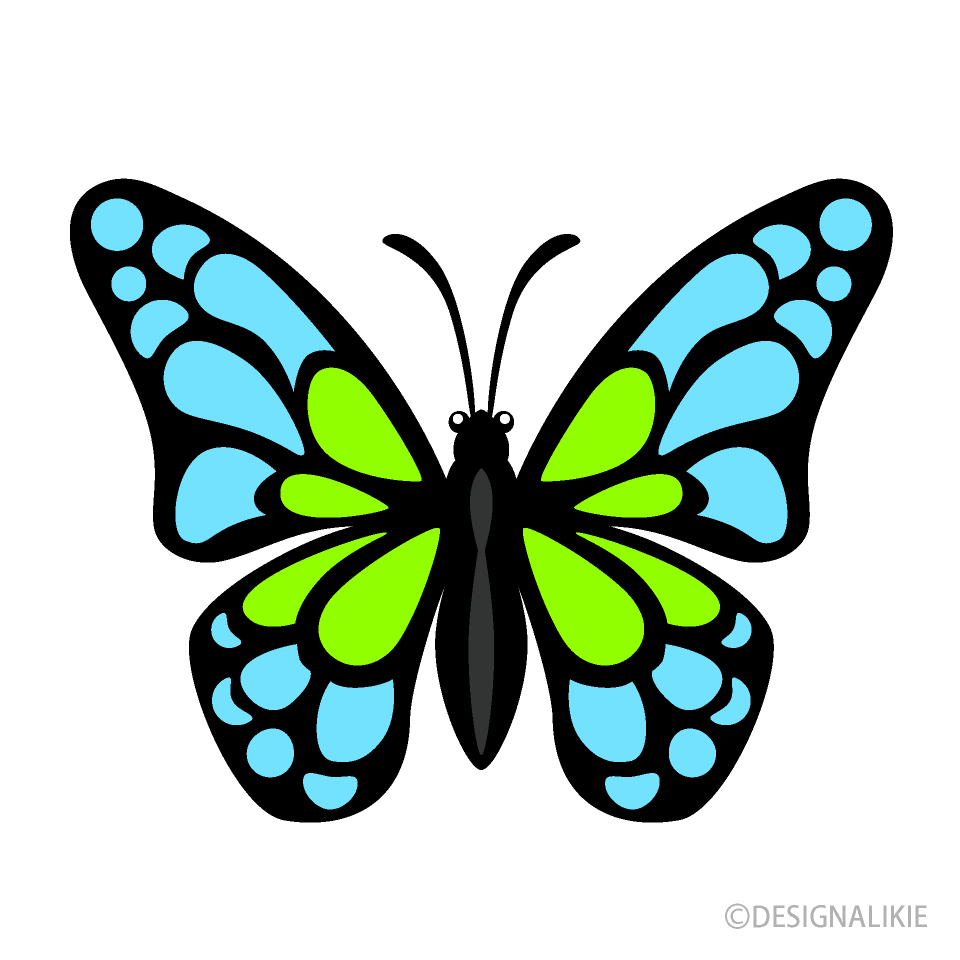 Small Blue Green Butterfly