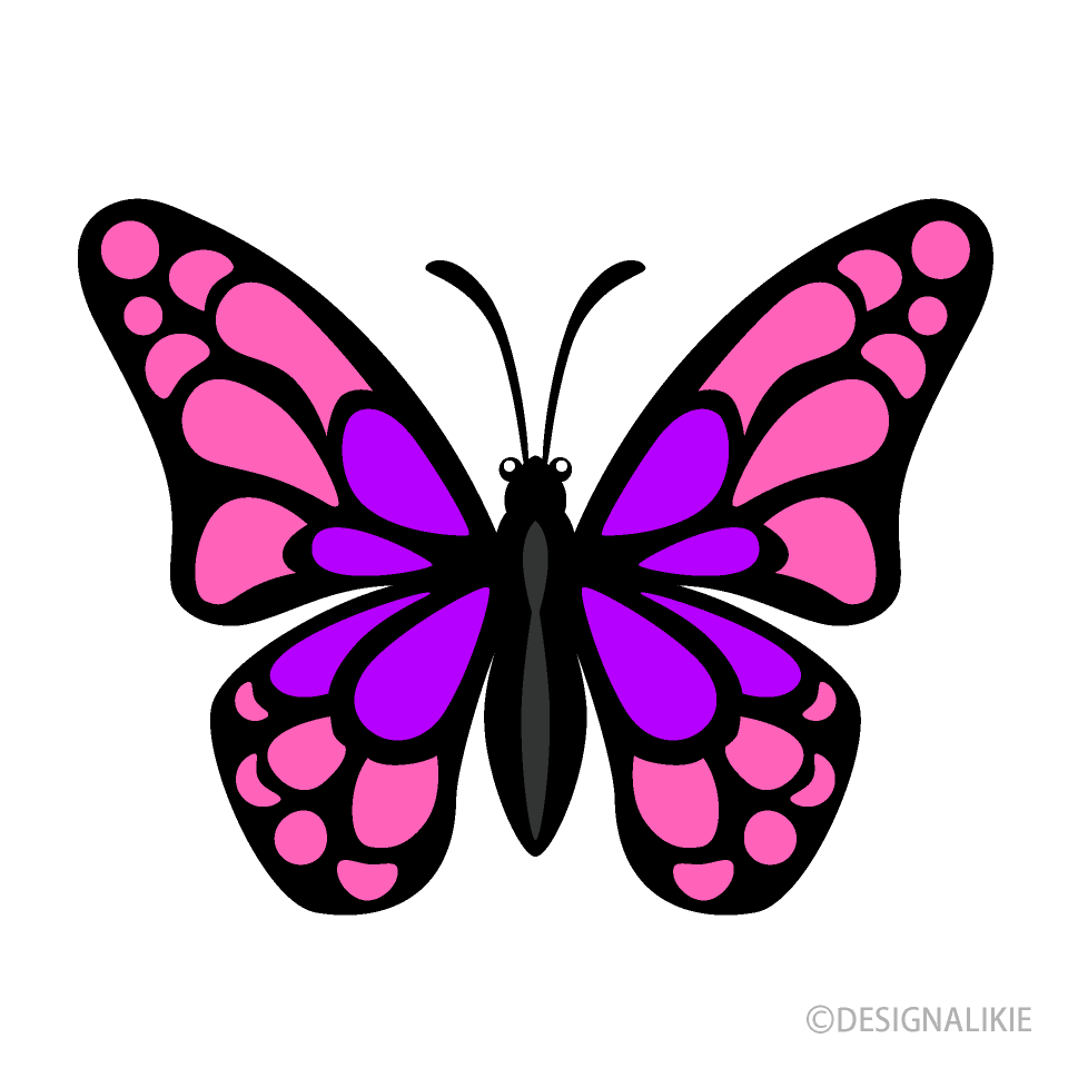 Pequeña Mariposa Rosa Morado
