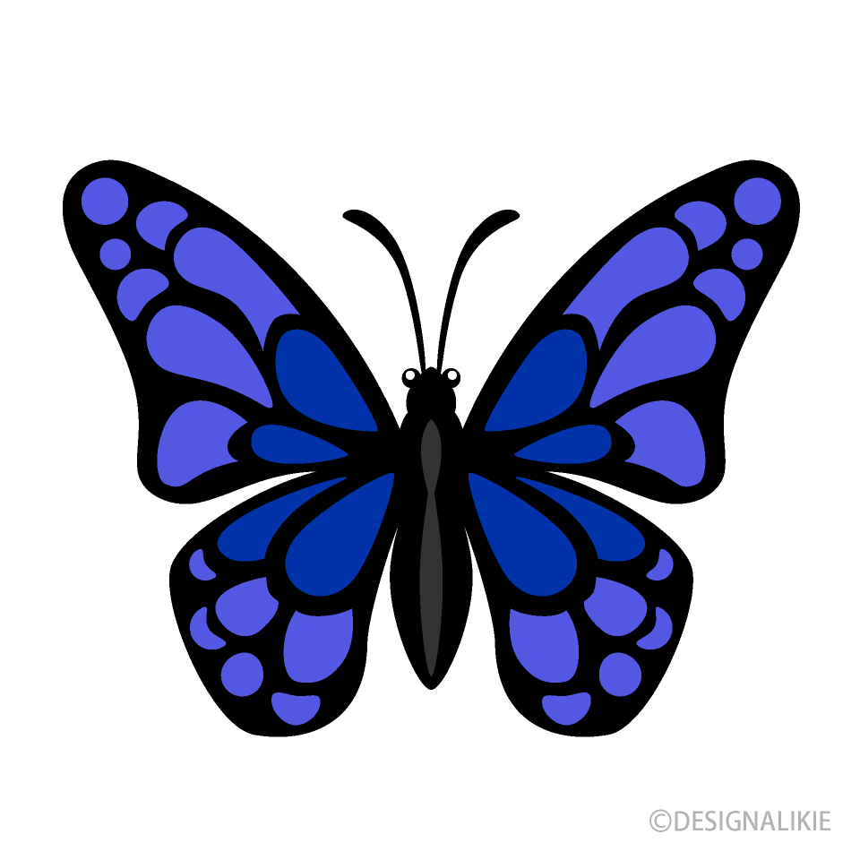 Pequeña Mariposa Azul Marino