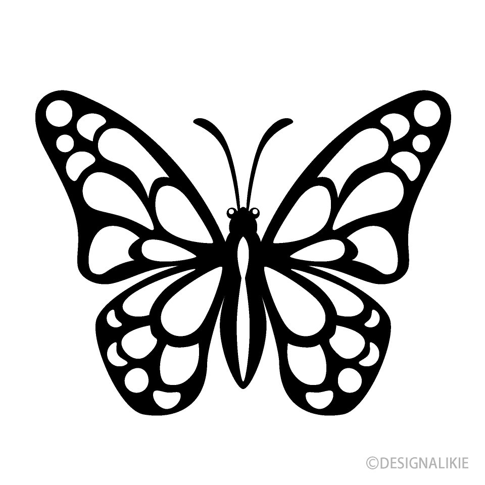 Small Butterfly