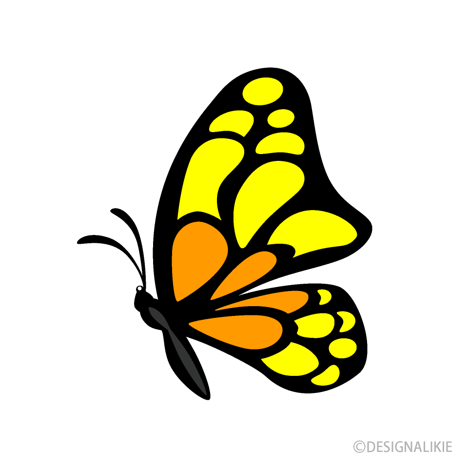 Pequeña Mariposa Amarillo Naranja Lateral