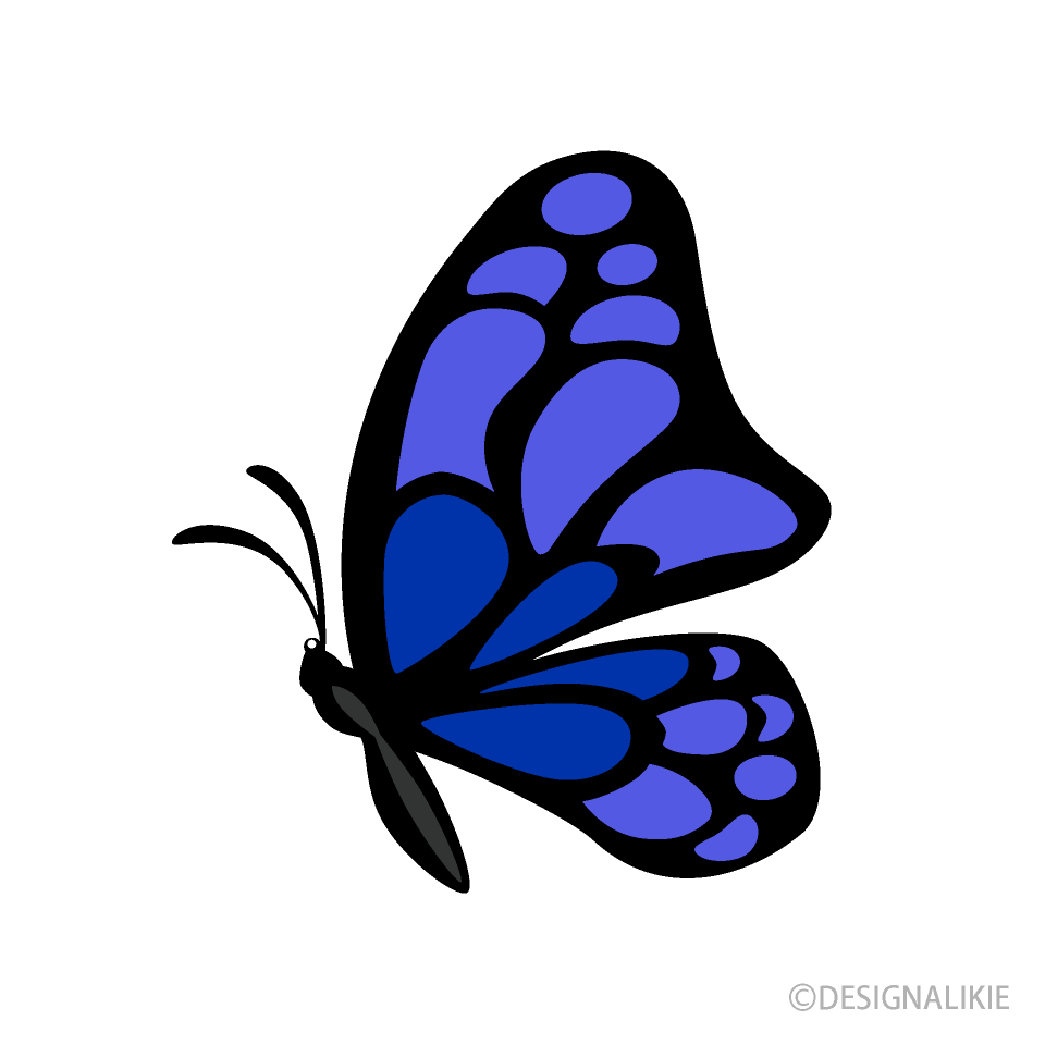 Small Blue Navy Butterfly Side