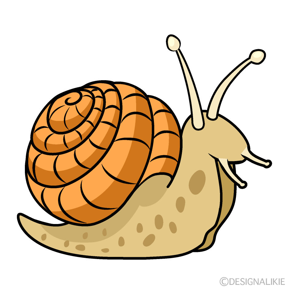 Snail