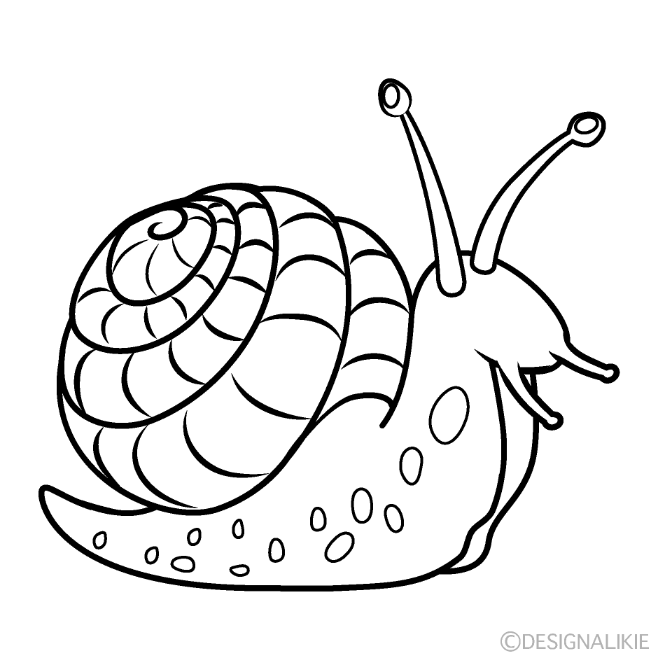 Snail