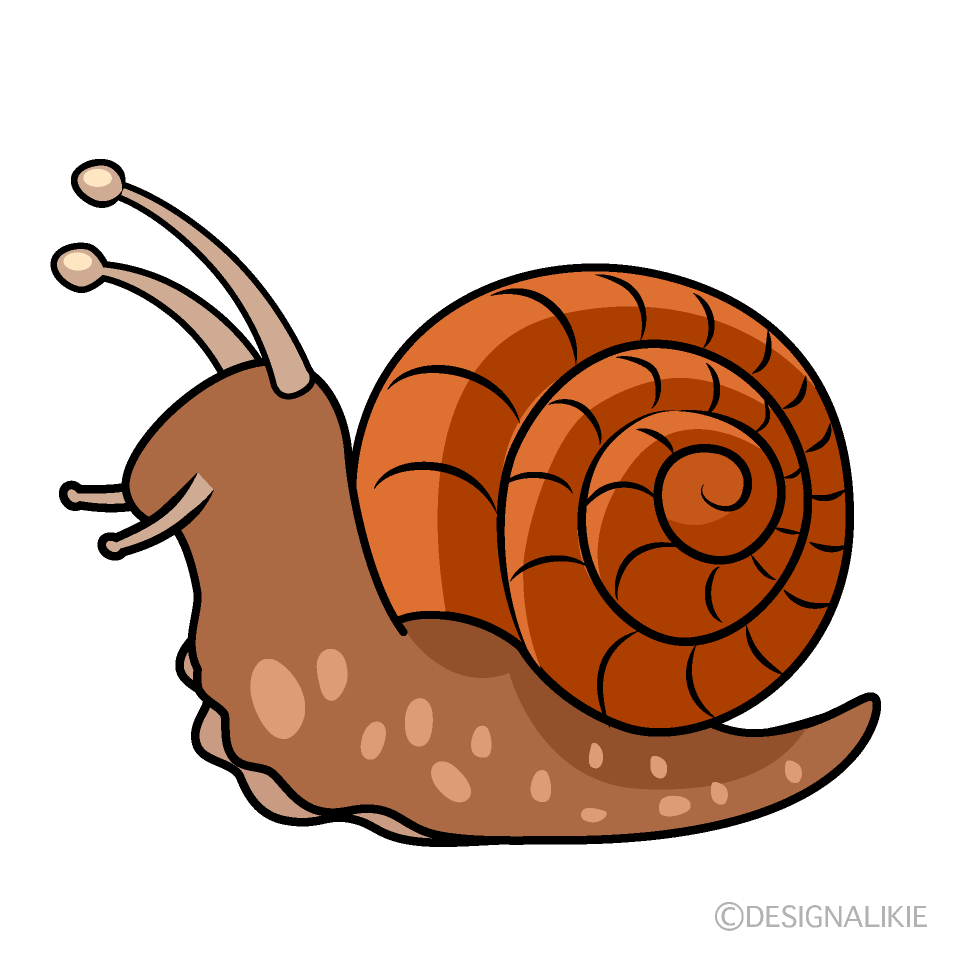 Caracol Marrón hacia Adelante