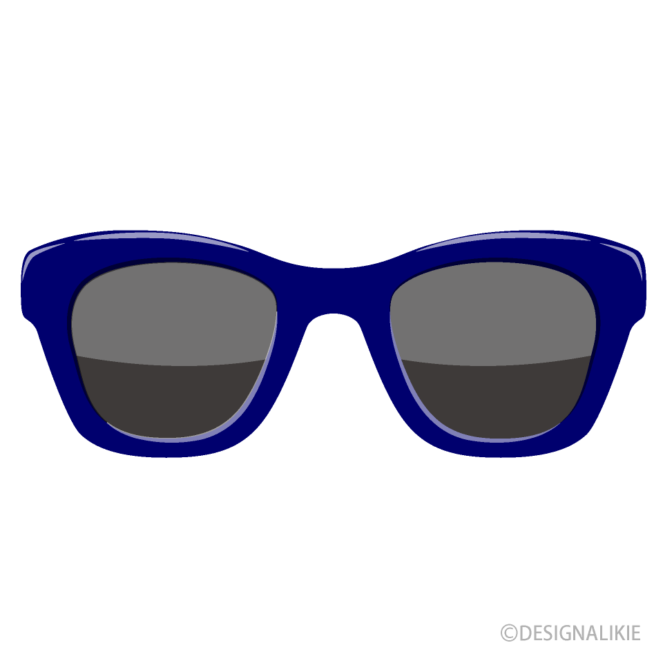 Navy Sunglasses