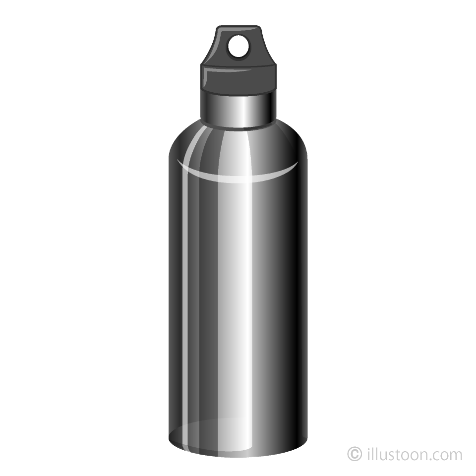 Stainless Water Bottle