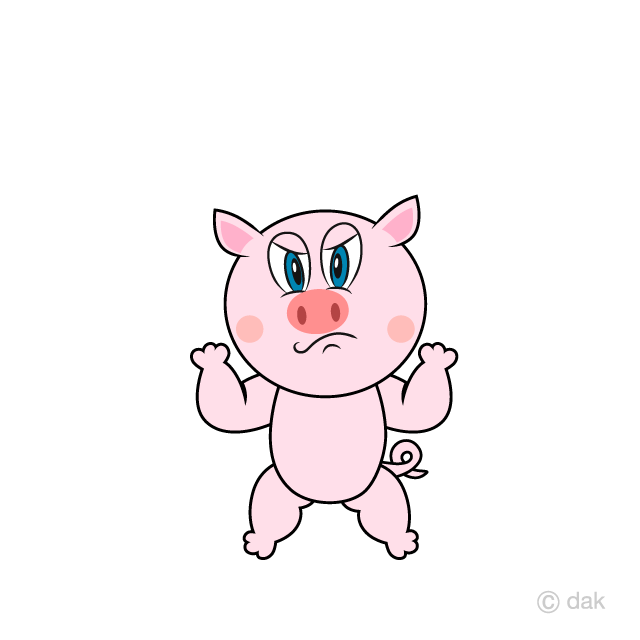 Angry Pig