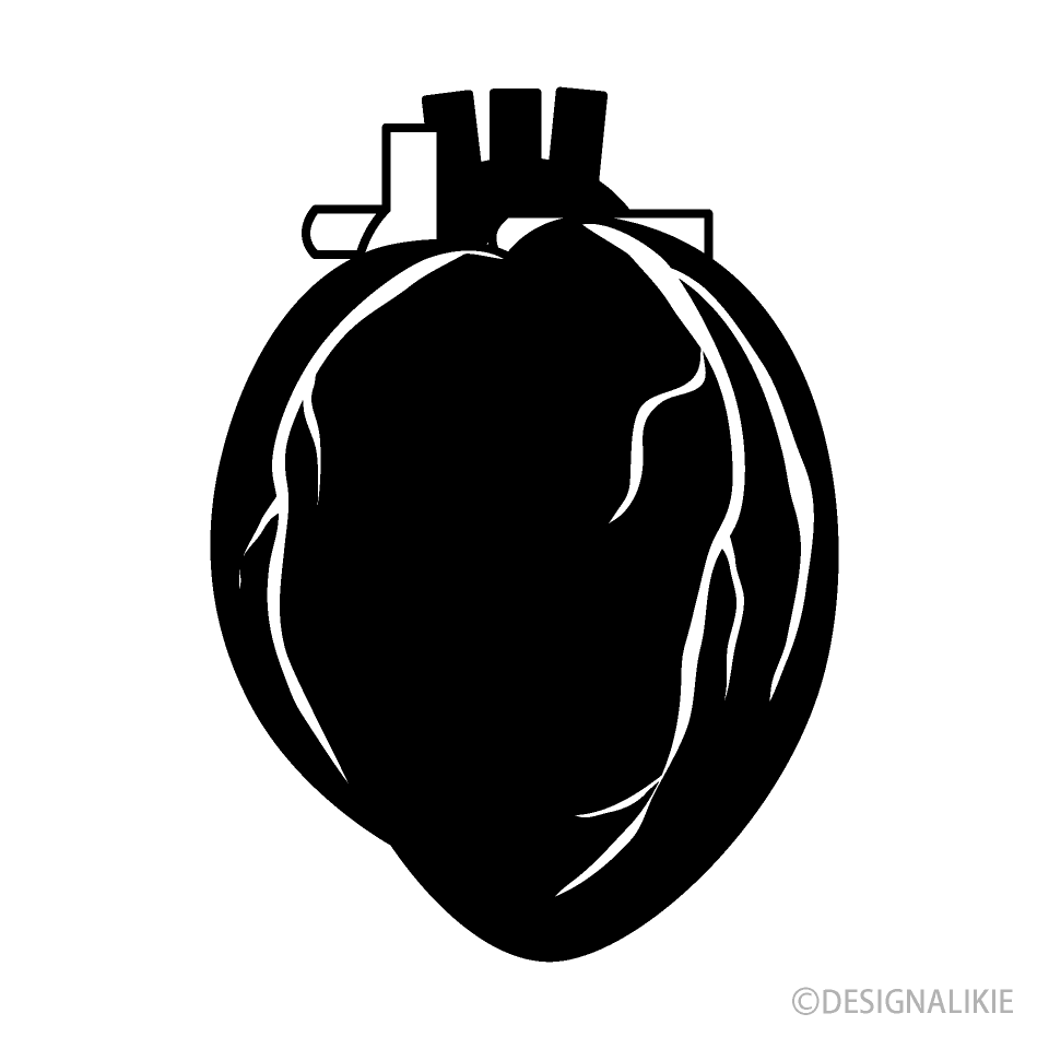 Human Heart