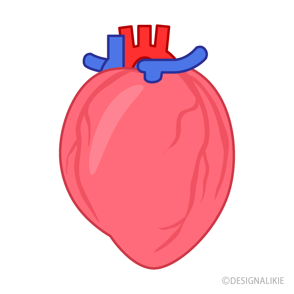 Simple Arterial-Venous Heart