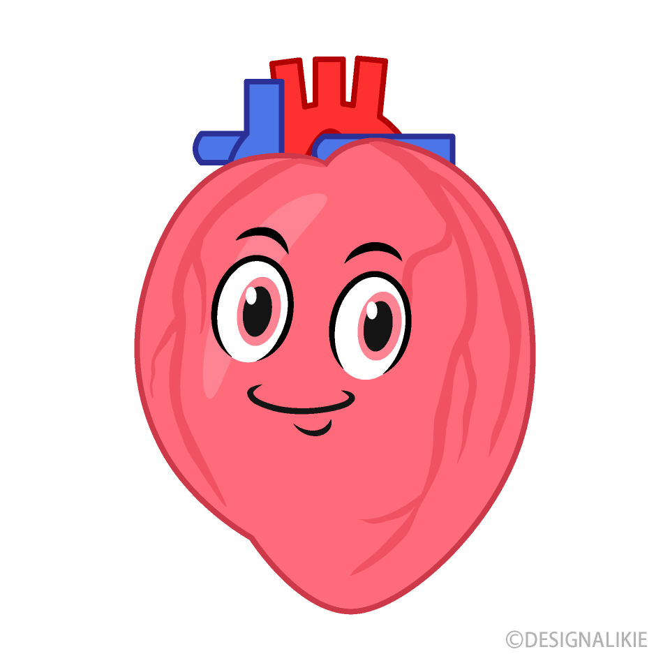 Human Heart