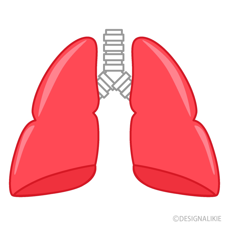 Inflamed Lung