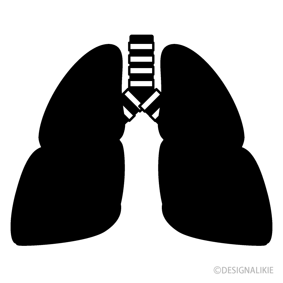 Lung