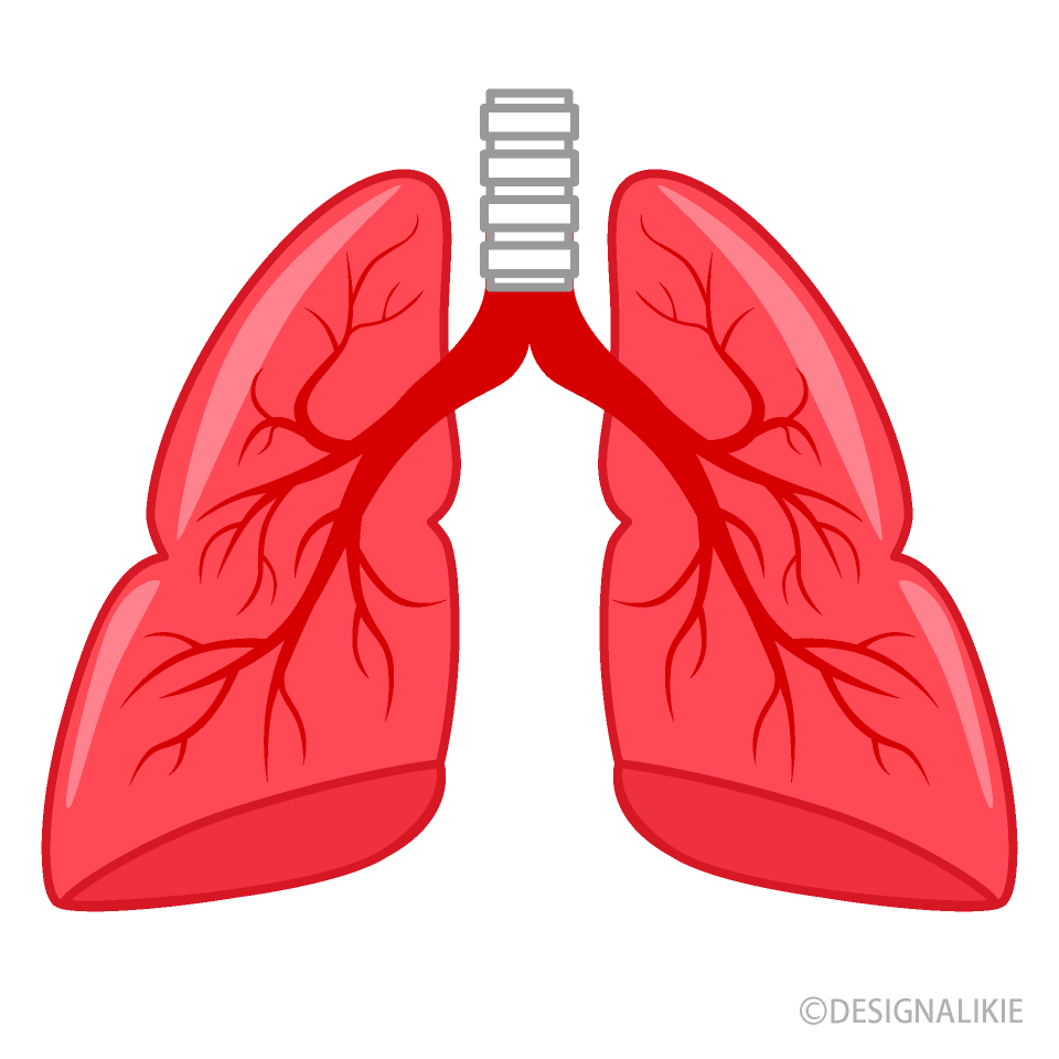 Inflamed Bronchus