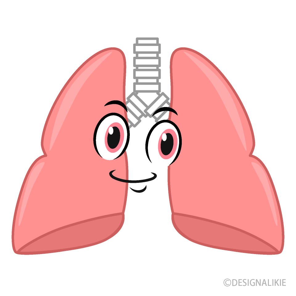 Lung