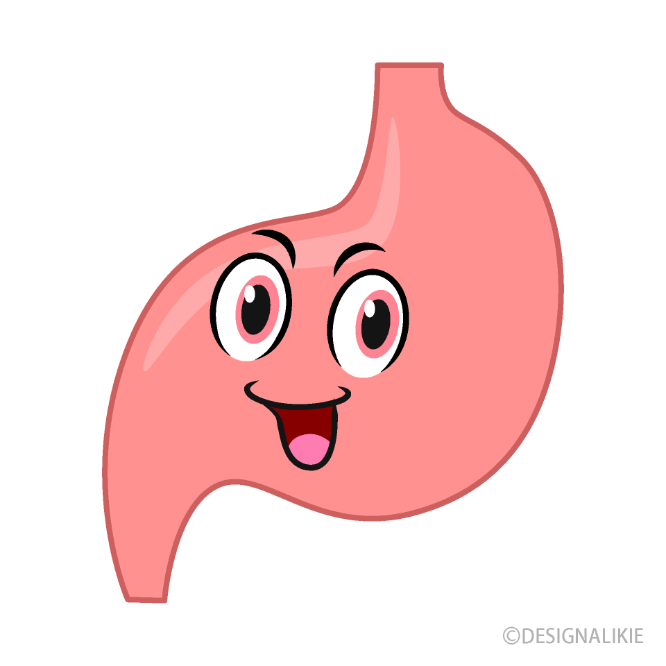 Stomach
