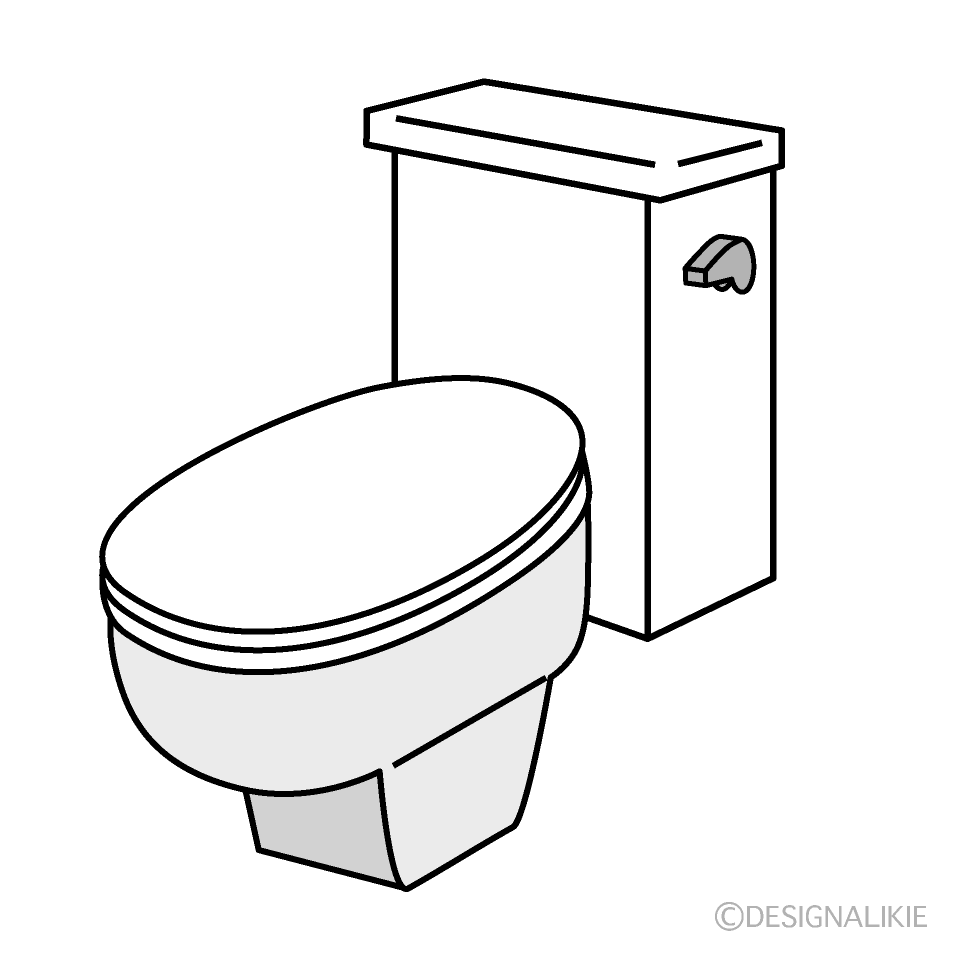 Toilet Bowl