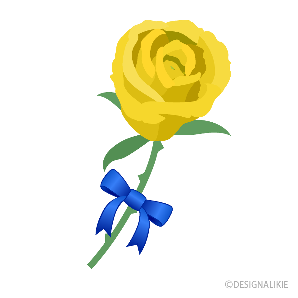 A Yellow Rose