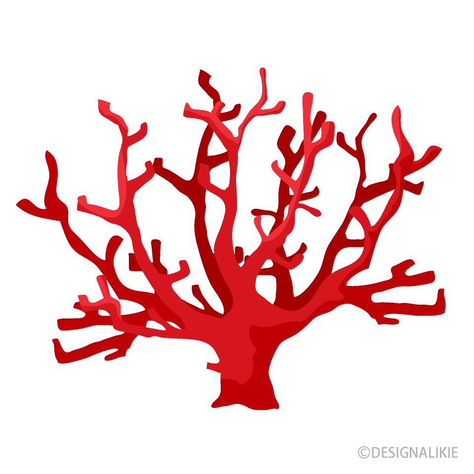 Red Coral