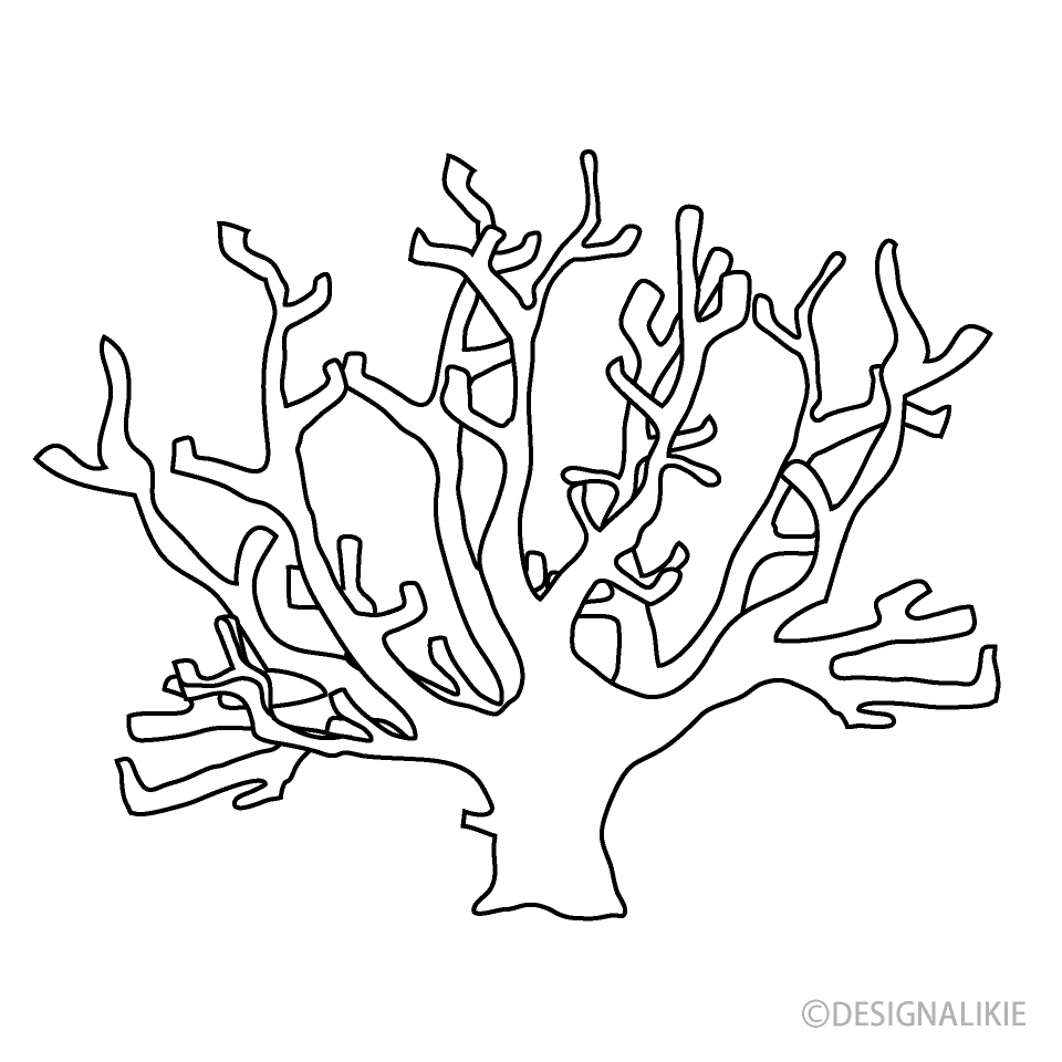 Coral