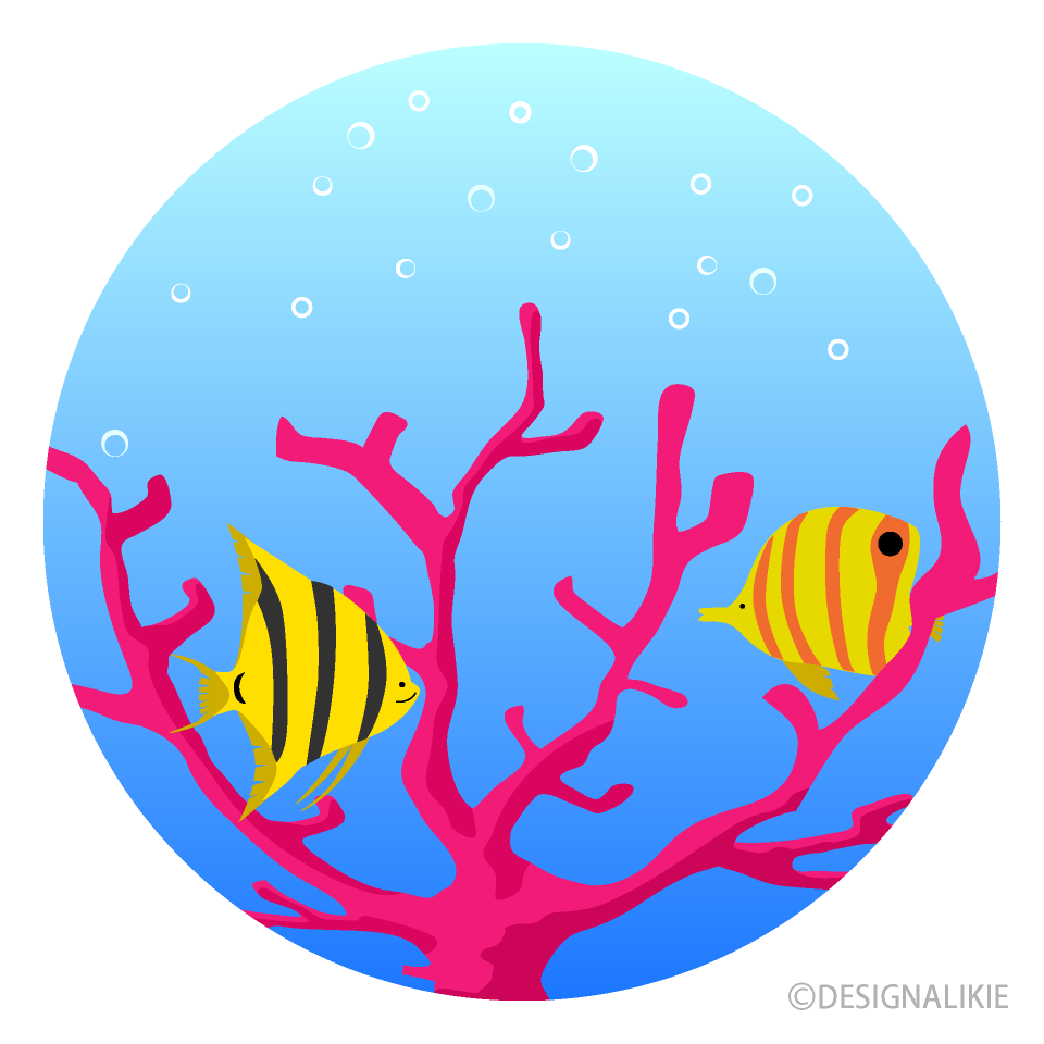 Coral with Tropical Fish