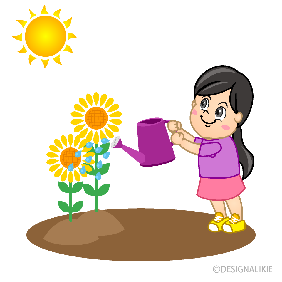 Girl Watering Sunflower