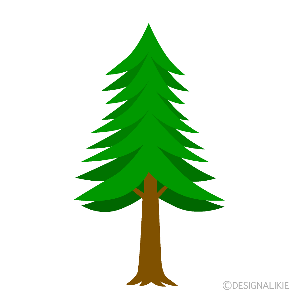 Árbol de Coníferas