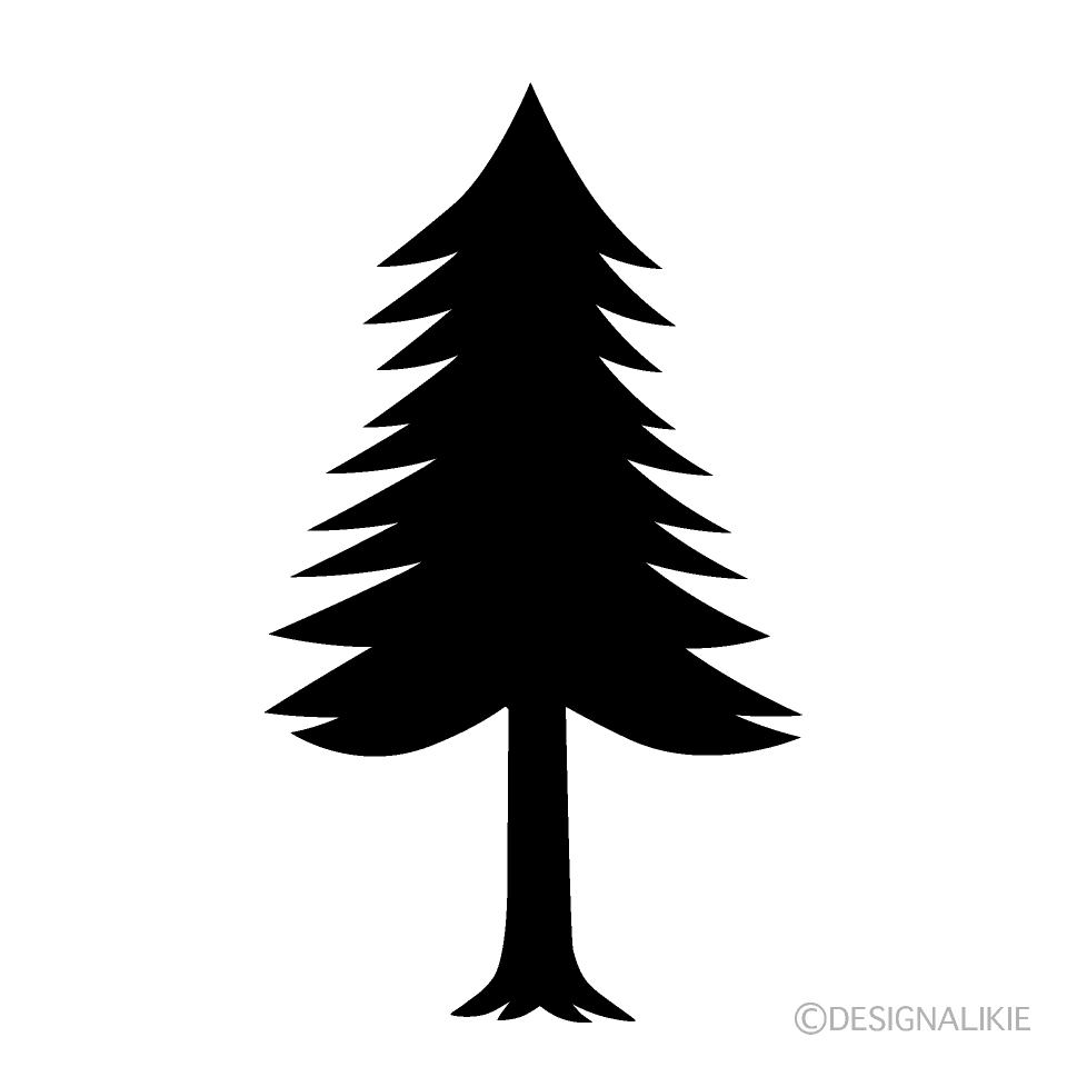 Conifer Tree