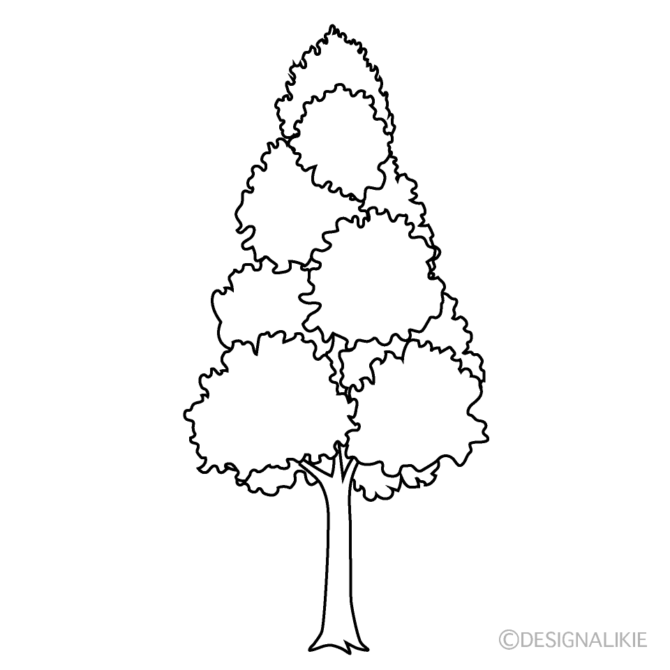 Tall Tree