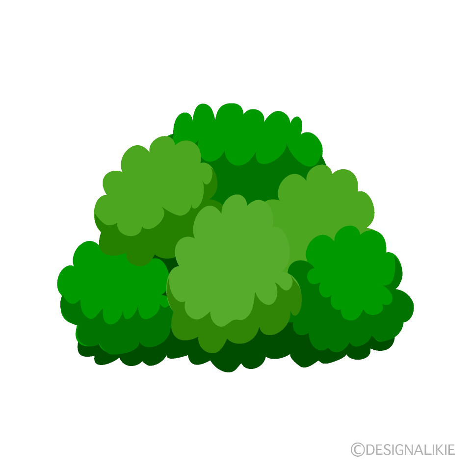 Small Bush