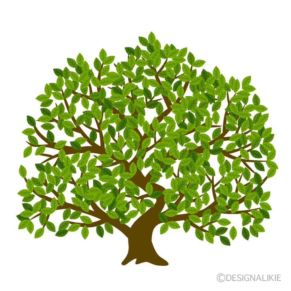 Árbol Pequeño