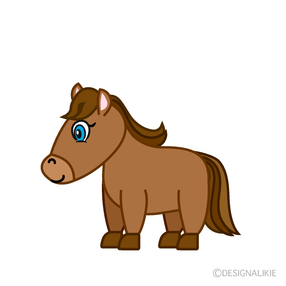 Foal