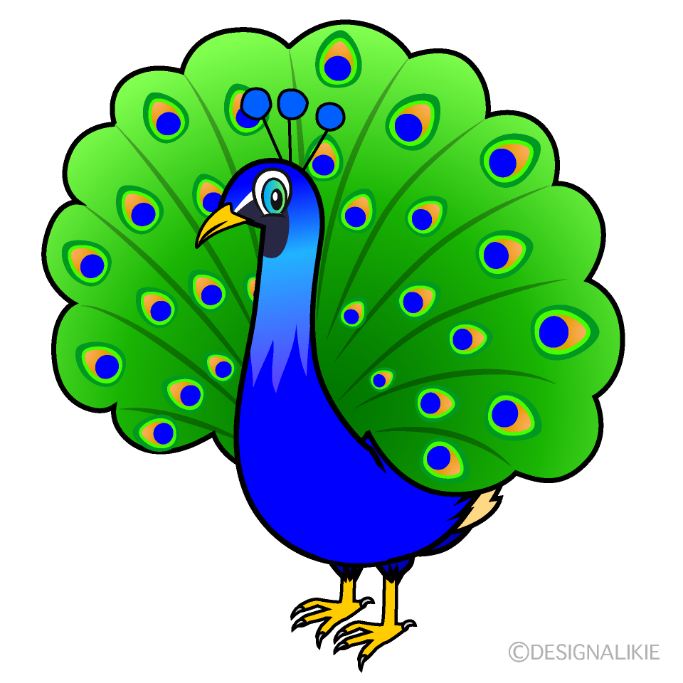 Peacock