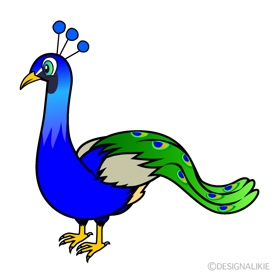Pavo Real Cerrado