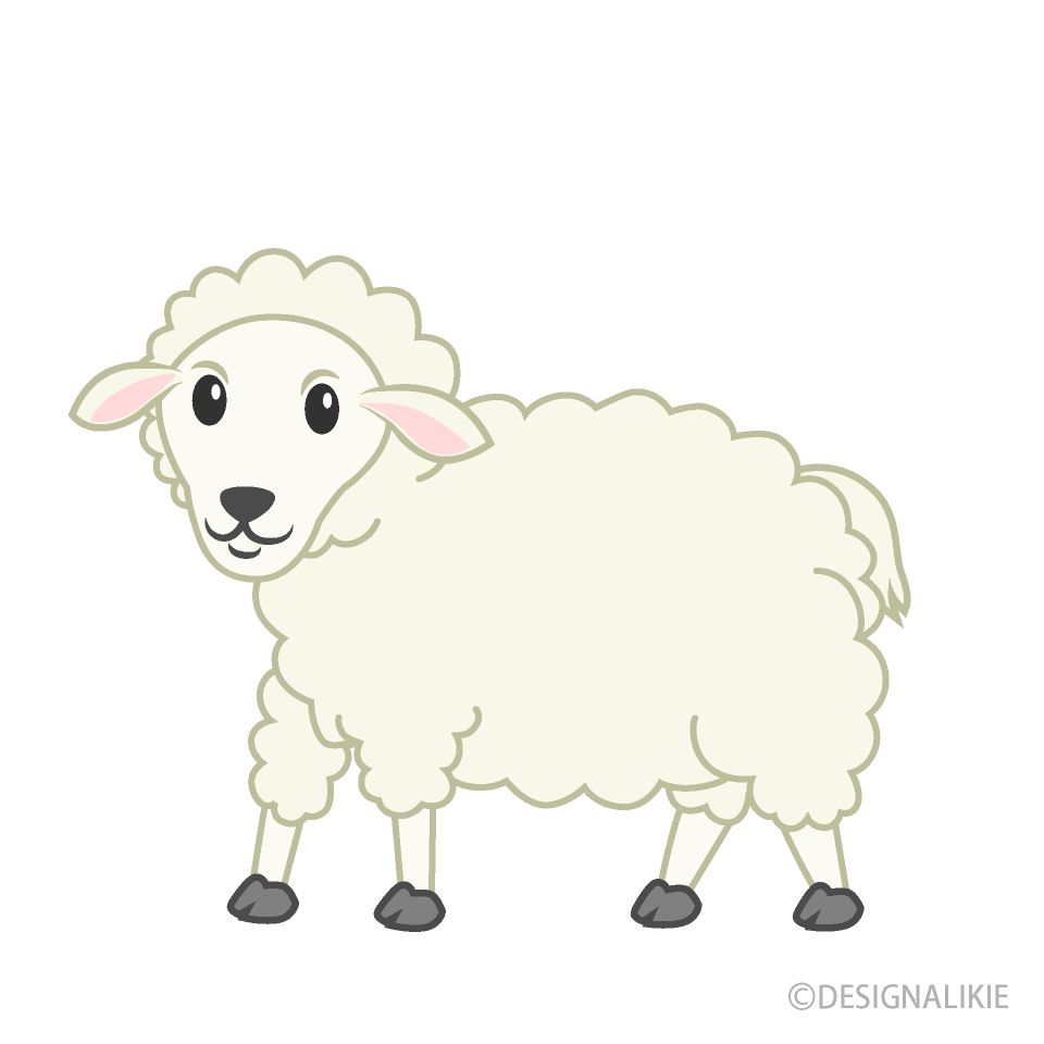 Sheep