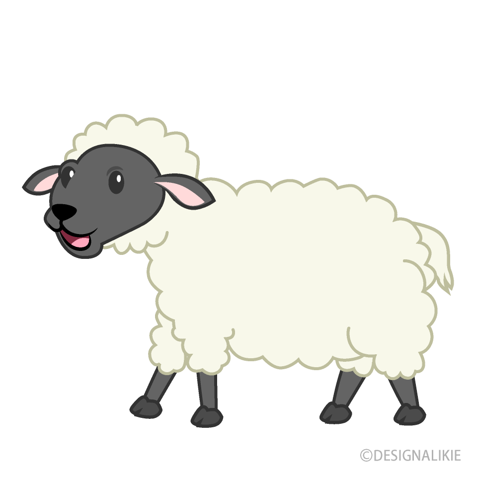 Suffolk Sheep