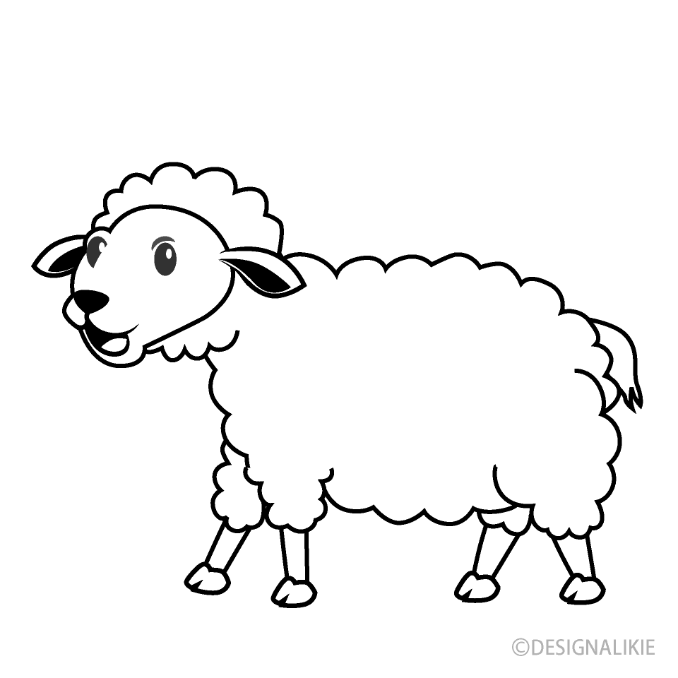 Sheep