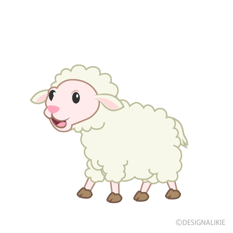 Pink-Faced Lamb