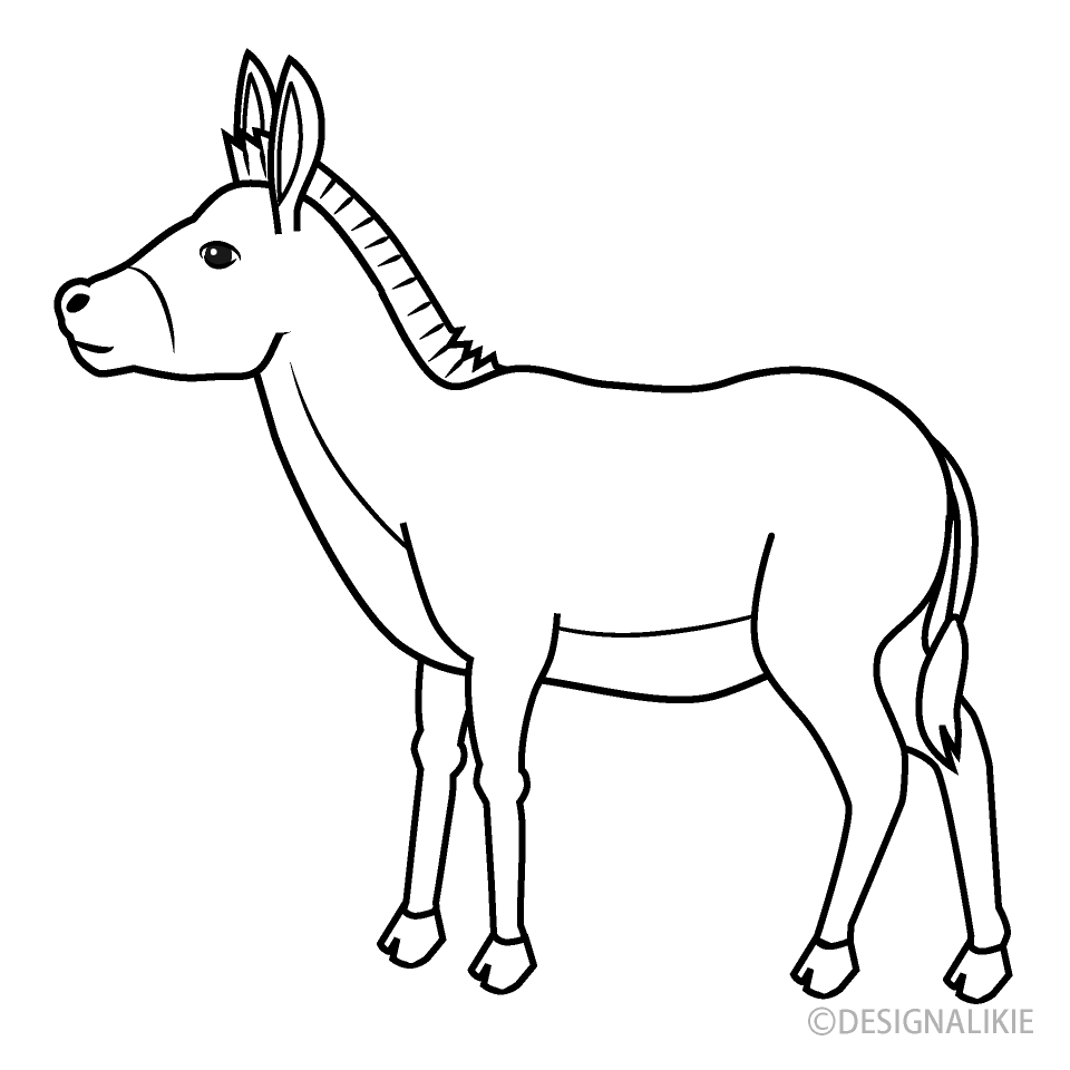 Donkey