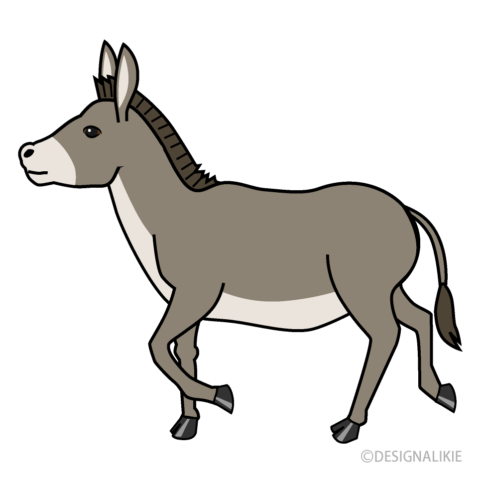 Taupe Donkey Walking