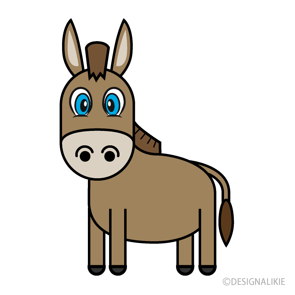 Donkey