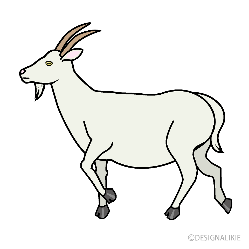 Walking Goat