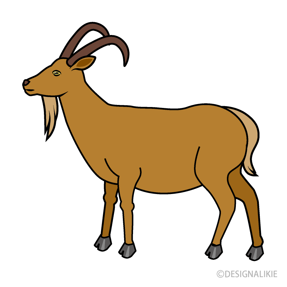 Brown Goat