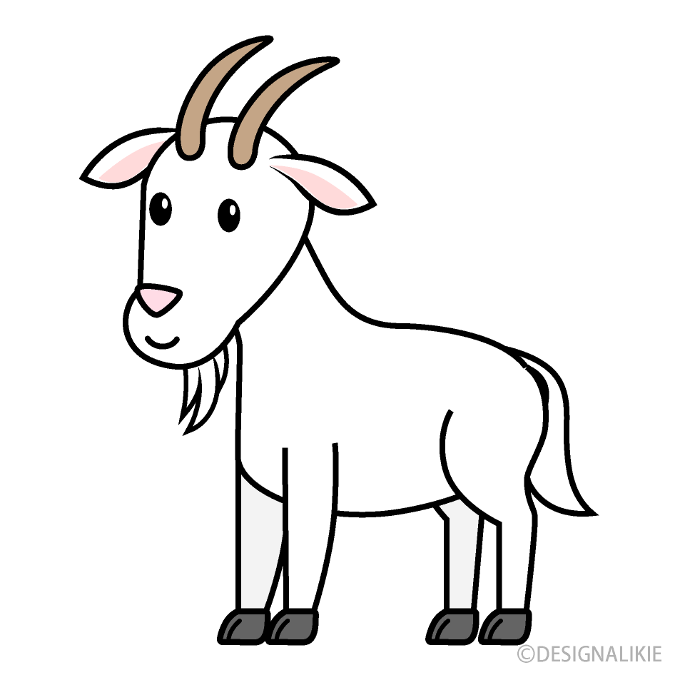 Cute Goat