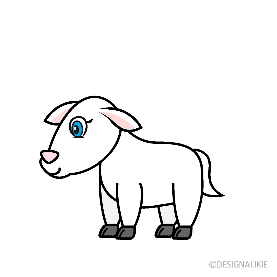 Baby Goat