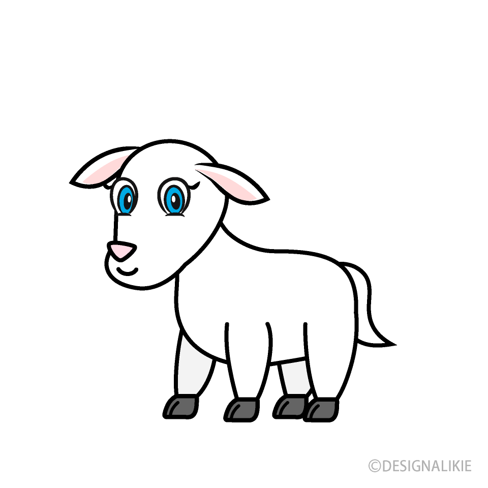 Baby Goat Looking