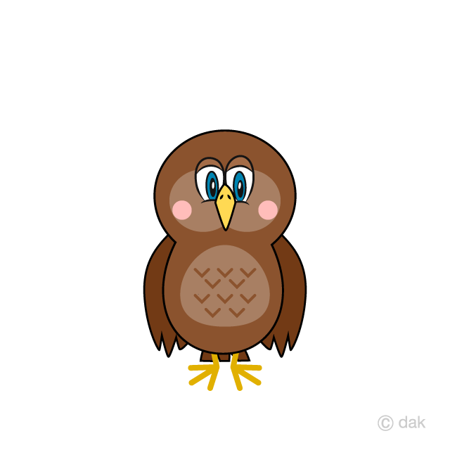 Búho
