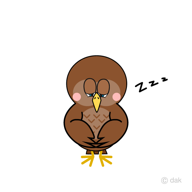 Sleeping Owl Cartoon Free PNG Image｜Illustoon