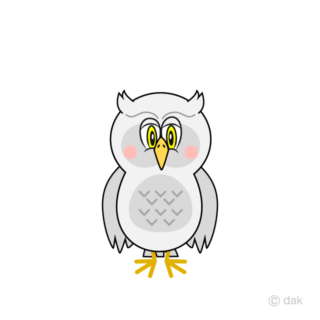 buho Blanco