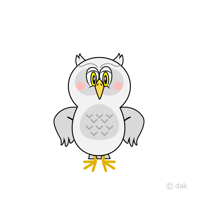 Self-Confident White Owl